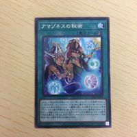 遊戯王 字レア カード トレーディングカード アマゾネスの秘術 まとめ サムネイル 4