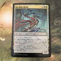MTG マジックザギャザリング シングル カード Foil BFZ 地下墓地の選別者/Catacomb Sifter 37 サムネイル 2