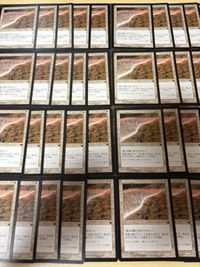 希望の壁 Wall of Hope 40枚 型番統一 旧枠 LGN レギオン MTG まとめ 日本語 JP