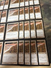 希望の壁 Wall of Hope 40枚 型番統一 旧枠 LGN レギオン MTG まとめ 日本語 JP サムネイル 5