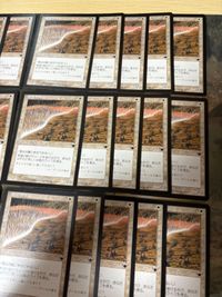 希望の壁 Wall of Hope 40枚 型番統一 旧枠 LGN レギオン MTG まとめ 日本語 JP サムネイル 3