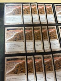 希望の壁 Wall of Hope 40枚 型番統一 旧枠 LGN レギオン MTG まとめ 日本語 JP サムネイル 2