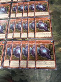 モコモッコ 40枚 型番統一 遊戯王 ノーマル まとめ サムネイル 5