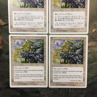 MTG マジックザギャザリング カード まとめ 5ED 動く壁/Animate Wall 4枚セット 77 サムネイル 2