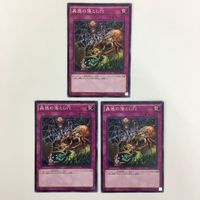 遊戯王 ノーマル 神の警告 蠱惑の落とし穴 神の宣告 カード まとめ サムネイル 4