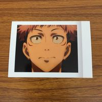 カード トレカ まとめ 呪術廻戦 ぱしゃこれ 両面 宿儺 釘崎 野薔薇 虎杖 悠仁 伏黒 恵 32 サムネイル 7