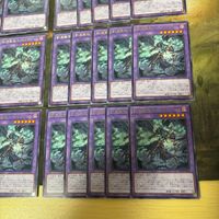 飢渇聖徒エリュシクトーン 40枚 アザミナソル 型番統一 ROTA-JP032 字レア アザミナ 罪宝 まとめ 遊戯王 シャドーボックス 無限回収 サムネイル 5
