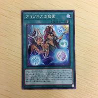 遊戯王 字レア カード トレーディングカード アマゾネスの秘術 まとめ サムネイル 3
