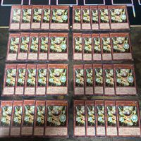 シビレルダケ 40枚 型番統一 遊戯王 まとめ ノーマル INFO