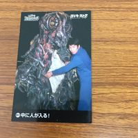 東映 特撮 コレクション カード まとめ 47 サムネイル 2