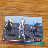 スーパー 戦隊 シリーズ カード まとめ 忍風戦隊 ハリケンジャー 22 サムネイル 2