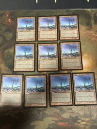 ウルザズ・サーガ 沼/Swamp 10枚 日本語版 JP 型番統ー まとめ MTG 人気絵柄 基本土地 大量 USG