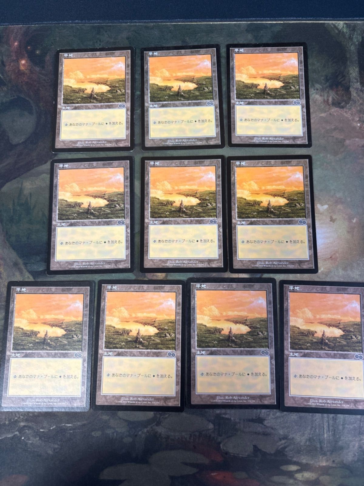 ウルザズ・サーガ 平地/Plains 10枚 日本語版 JP 型番統ー まとめ MTG 人気絵柄 基本土地 大量