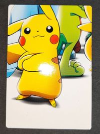 ADVENTURE 008 ピカチュウ 任天堂 アニメ ポケモン カードダス マグマ団 したっぱ アドバンスジェネレーション サムネイル 2