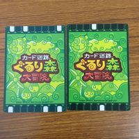 カード トレカ まとめ カード迷路 ぐるり森 大冒険 モモモモンガ プテドン インディイーグル ディノバードナイト パインコ 42 サムネイル 8
