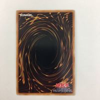 遊戯王 ウルトラレア No.39 希望皇ホープ No.56 ゴールドラット カード まとめ サムネイル 9