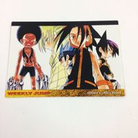 ジャンプフェスタ カード まとめ 2001 2004 シャーマンキング 武井 宏之 21 サムネイル 3