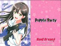 カード まとめ ガールズバンドパーティー 
バンドリ！ 
ポッピンパーティー 
戸山香澄 花園たえ 非売品 プロモ サムネイル 3