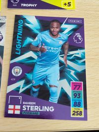 プレミアリーグ カード panini パニーニ 2021/2022 2021/22 まとめ ギュンドアン マンチェスターシティ エデルソン スターリング カンセロ ジンチェンコ フェラン・トーレス ルベンディアス サムネイル 4