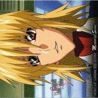 【状態B】カガリ ルナマリア ラクス ガンダムSEED シード カードダスマスターズ カード まとめ サムネイル 2
