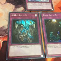 天龍雪獄 絶縁の落とし穴 底なし落とし穴 スーパーレア 汎用罠 遊戯王 蟲惑魔 まとめ ROTD-JP079 デッキパーツ COTD-JP075 サムネイル 3