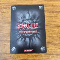 カード トレカ まとめ D gray man Dグレ ディー グレイマン コムイ リー ミランダ ロットー ヘブラスカ グゾル レロ ラビ 43 サムネイル 10