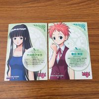 カード トレカ まとめ 魔法先生 ネギま 大河内 アキラ 春日 美空 28 サムネイル 2