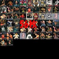 BBM 1995 Pro Wrestling Card Lot Semi Complete FMW JWP Sports