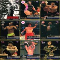 プロレス カード BBM 1995 95 まとめ セミコンプ FMW JWP スポーツ p983 sn11 0823 サムネイル 3