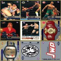 プロレス カード BBM 1995 95 まとめ セミコンプ FMW JWP スポーツ p983 sn11 0823 サムネイル 4
