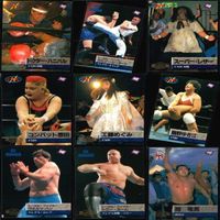 プロレス カード BBM 1995 95 まとめ セミコンプ FMW JWP スポーツ p983 sn11 0823 サムネイル 5
