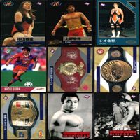プロレス カード BBM 1995 95 まとめ セミコンプ FMW JWP スポーツ p983 sn11 0823 サムネイル 2