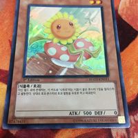 IT220803-2075 ナチュル・サンフラワー スーパーレア 韓国版 1st 遊戯王 HA03-KR011 サムネイル 3