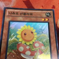 IT220803-2075 ナチュル・サンフラワー スーパーレア 韓国版 1st 遊戯王 HA03-KR011 サムネイル 2