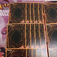 魔鍵召獣-アンシャラボラス 型番統一 40枚 ノーマル まとめ 遊戯王 DAMA-JP036 サムネイル 7
