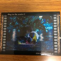 ファイナルファンタジー Ⅹ カード まとめ ティーダ ユウナ 79 サムネイル 7