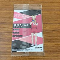 カード トレカ まとめ ハイキュー 10 サムネイル 10