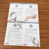仮面ライダー カード まとめ 54 サムネイル 6