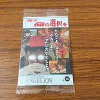 カード トレカ まとめ 新世紀 エヴァンゲリオン エヴァ 未開封 綾波 レイ ゼーレ 魂の座 嘘と沈黙 キール ローレンツ 命の選択を 35 サムネイル 9