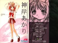 ToHeart トゥハート カード まとめ パーソナル プロフィール 神岸 あかり 姫川 琴音 マルチ 来栖川 芹香 LEAF リーフ ティーアイ 美少女 bp534 o20 サムネイル 8