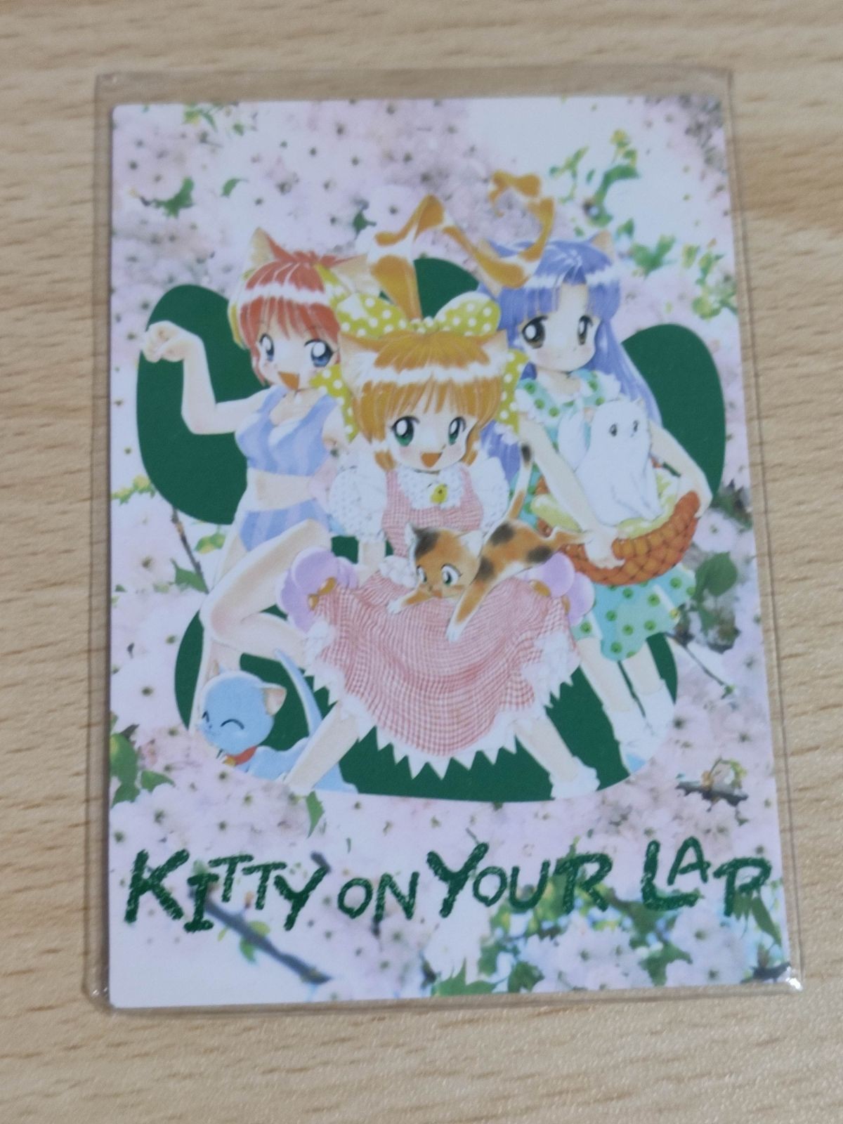 trks2 ひざの上の同居人 カード 非売品