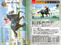 競馬 カード ホースレーシング まとめ ロードアックス アイアムザプリンス シンカイウン クロカミ クロカミ タケイチケントウ シンカイウン テイエムオオアラシ ロンドンブリッジ サムネイル 9