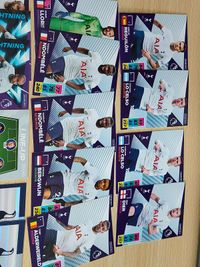 プレミアリーグ カード panini パニーニ 2021/2022 2021/22 まとめ トッテナム スパーズ ケイン モウラ ロチェルソ ダイアー サムネイル 8