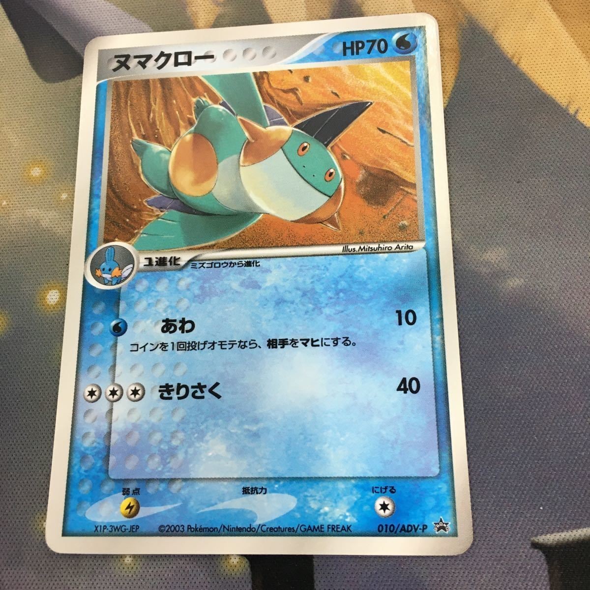 ポケモンカード 新裏面 プロモ 1枚 ヌマクロー 73