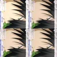 文豪ストレイドッグス 文スト ヴァイスシュヴァルツブラウ まとめ シグマ 支配人 大倉燁子 血荊の女王 江戸川乱歩 超推理 違えた道 福沢諭吉 武装探偵社 仲間からの信頼 ヴァイス ap116 サムネイル 10