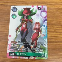 Digimon Card Lot Taichi Hikari Yamato Sora Izumi Jou Mimi サムネイル 8