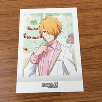 Idolmaster Pashacollection Card Lot 36 Japanese サムネイル 9