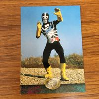 仮面ライダー V3 カード まとめ 75 サムネイル 6