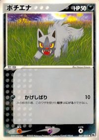 ポケモン カード まとめ ADV 第1弾 エネコ ナマケロ ポチエナ サムネイル 5