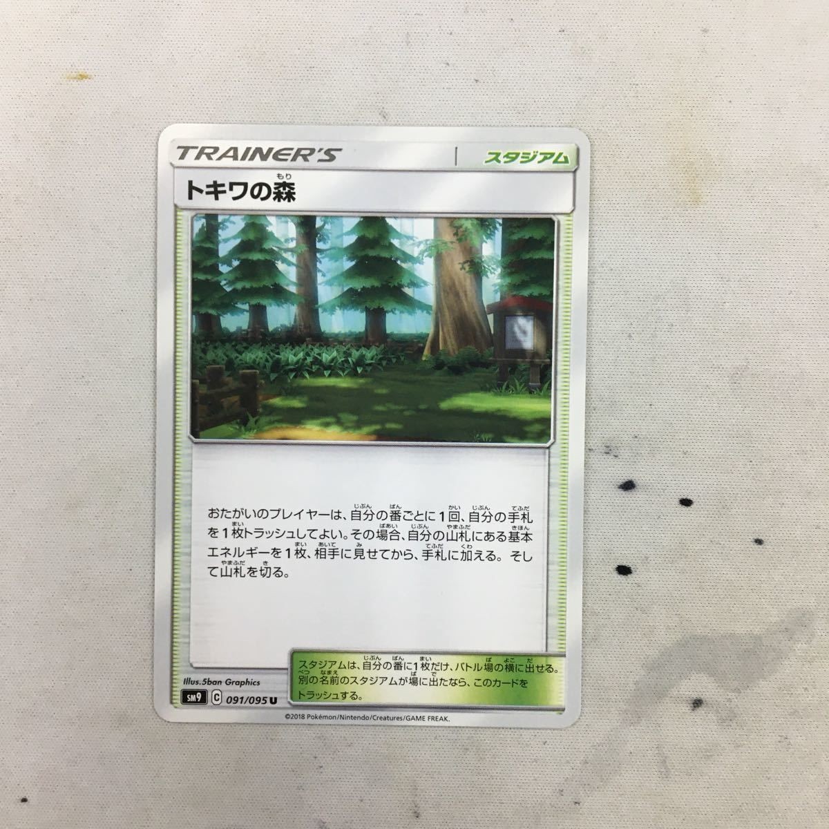 ポケモンカード 新裏面 トキワの森 51